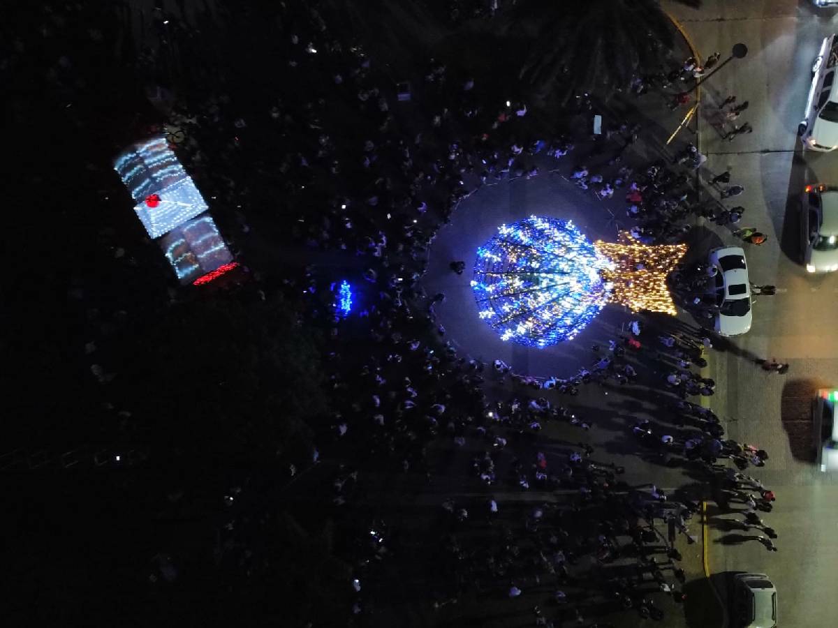 BOLÍVAR ENCENCIÓ EL ÁRBOL DE LOS SUEÑOS EN EL CENTRO CÍVICO